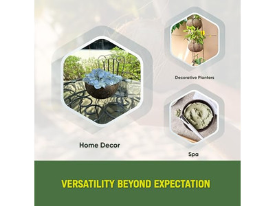 Bols en Bambou 7 Pour Nourriture Crème Glacée Bol de Noix de Coco 32 4 Énorme Coque Bio