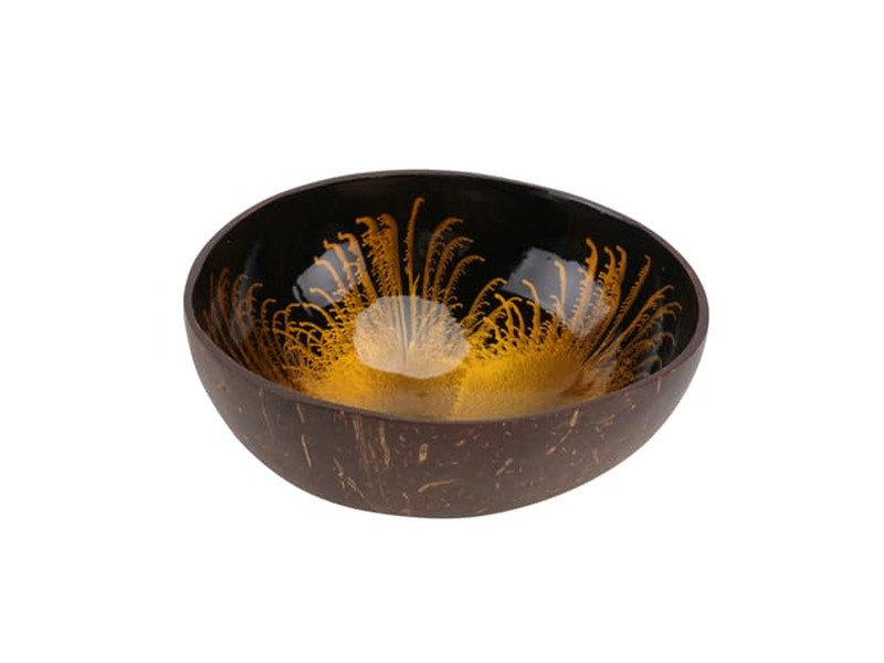 Doublures de Banneton Pour Bols Plastique Cuisine Bol en Noix de Coco Et Ensemble de Cuillère Smoothie