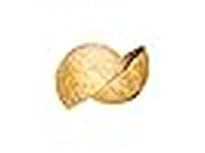 Bol de Décoration Rafia Naturelle Mélange de Salades Bol en Coquille de Noix de Coco Avec Poignée Pour Cuisine