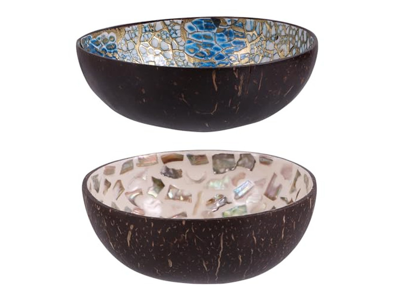 Bol Sculpté en Noix de Coco Derniers Bols Laqué Motif Unique Coquille Cuillères