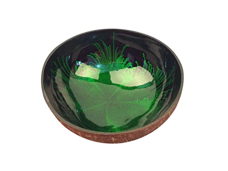 Bol de Service en Grappes Ensemble de 4 Bols en Coque de Noix de Coco Polie Premium de Thaïlande