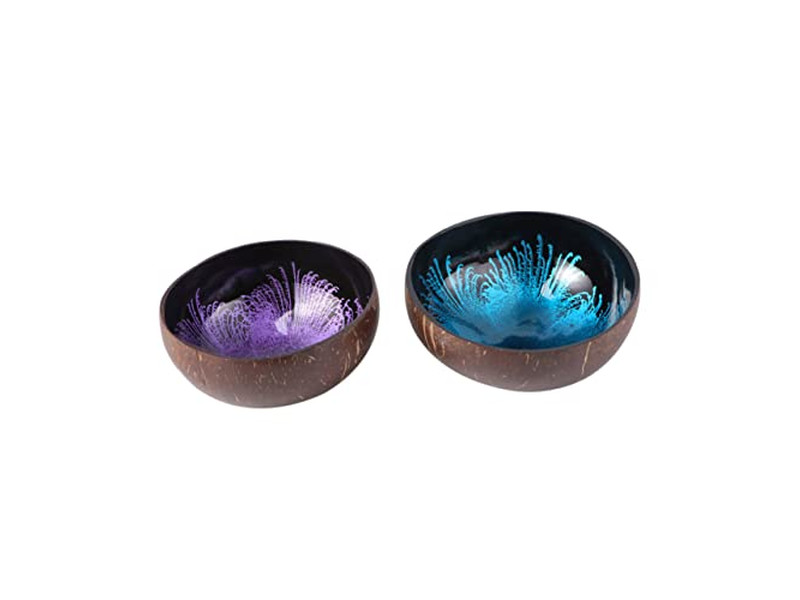 Bol en Coquille de Noix de Coco Avec Motif Salades Bols Personnalisés de Haute Qualité