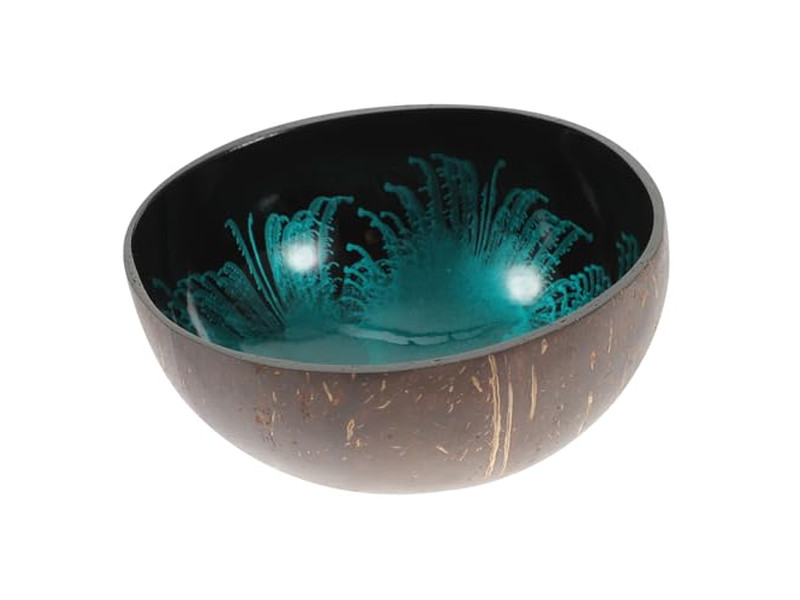 Bols en Noix de Coco pour Açaï Coquille Sala Conteneur de Clé en Béton Mini Ensemble