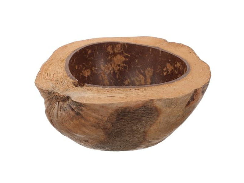 Bol en Coquille d'Œuf Smoothie Coloré Mélamine pour Enfants Vente Bols Recettes