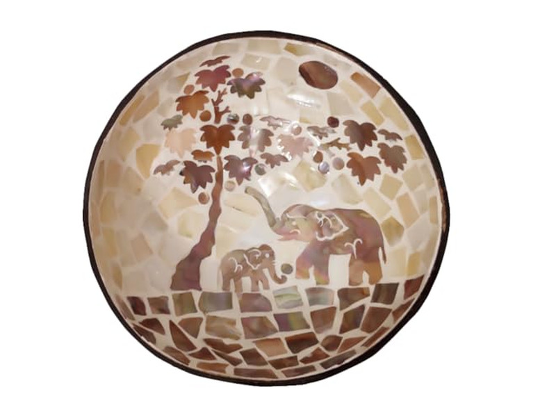 Bol Gravé en Noix de Coco Moitiés de Coque Ensemble de Service Grand Porte Naturel