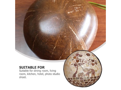 Bol Gravé en Noix de Coco Moitiés de Coque Ensemble de Service Grand Porte Naturel