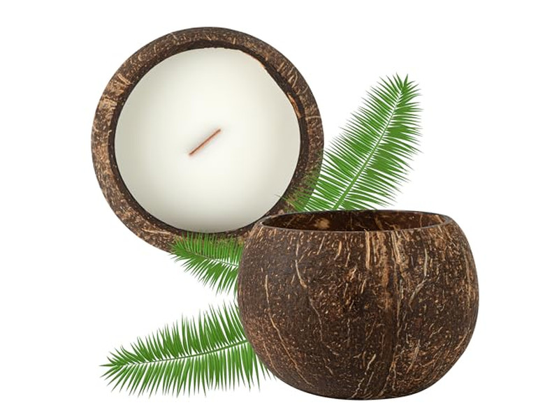 Noix de Coco Fraîches Ventes de Coques de Noix de Coco Bol Coco Fait Main Cire