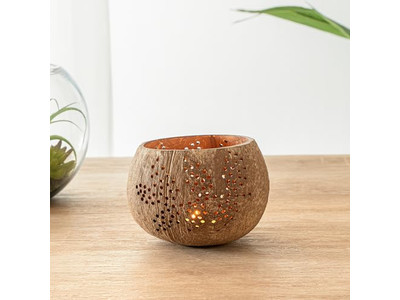 Bol à Salade avec Couvercle Noix de Coco Colorée pour Animaux Durable Vietnam Tendances Bols