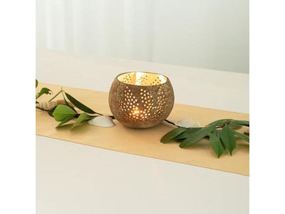 Bol à Salade avec Couvercle Noix de Coco Colorée pour Animaux Durable Vietnam Tendances Bols