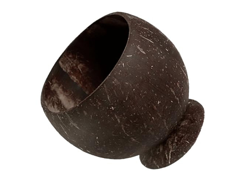 Ensemble d'un Bol en Noix de Coco Semblable avec Support Couvercle de Logo de Bols Vietnamiens