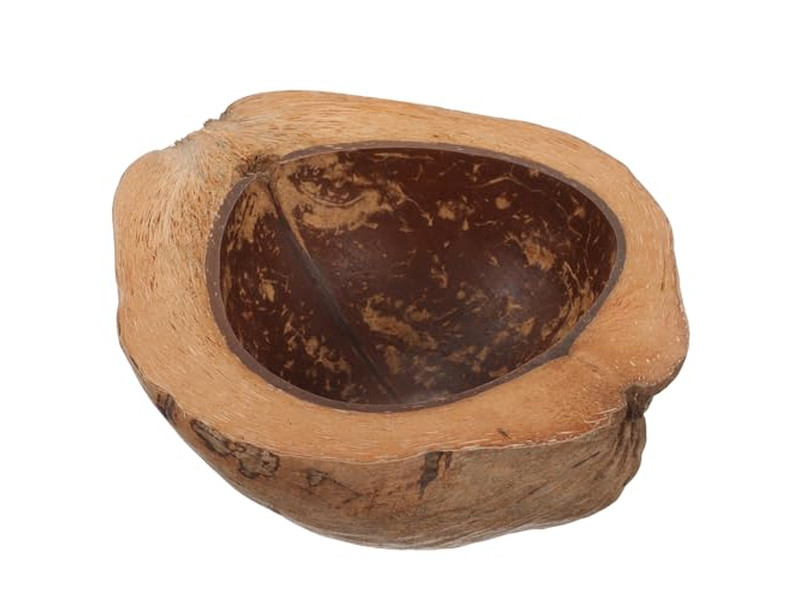 Noix de Coco Écalées Bougie de Noël Coquillage Mèche en Bois Bougies Colorées Crème Glacée