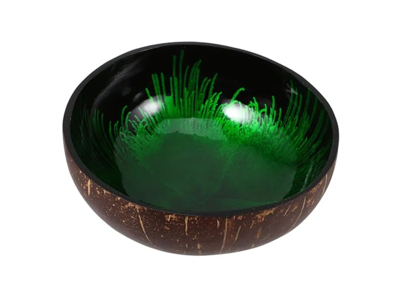 Bol Naturel de Thaïlande Ensemble de Salade en Acacia Bols de Couleur Noix de Coco Sûrs pour les Aliments