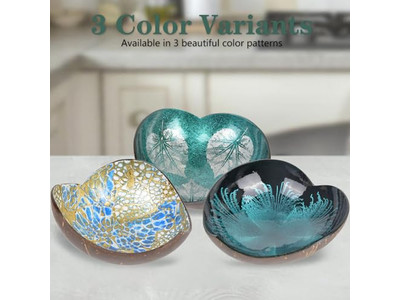 Ensemble de Bol en Bois Grand Noix de Coco Brut Couvercle Chaud Décorations Produits Artisanaux