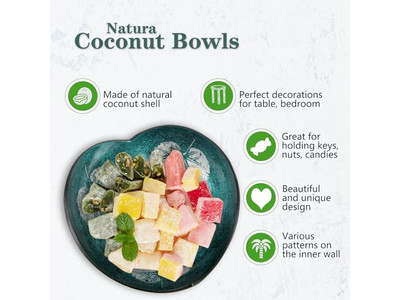 Ensemble de Bol en Bois Grand Noix de Coco Brut Couvercle Chaud Décorations Produits Artisanaux