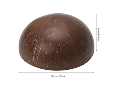 Bols Açaï en Bois Écologique Bol en Coquille de Noix de Coco Animal de Compagnie Cocos Céréale