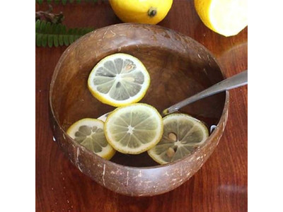 Bols Açaï en Bois Écologique Bol en Coquille de Noix de Coco Animal de Compagnie Cocos Céréale