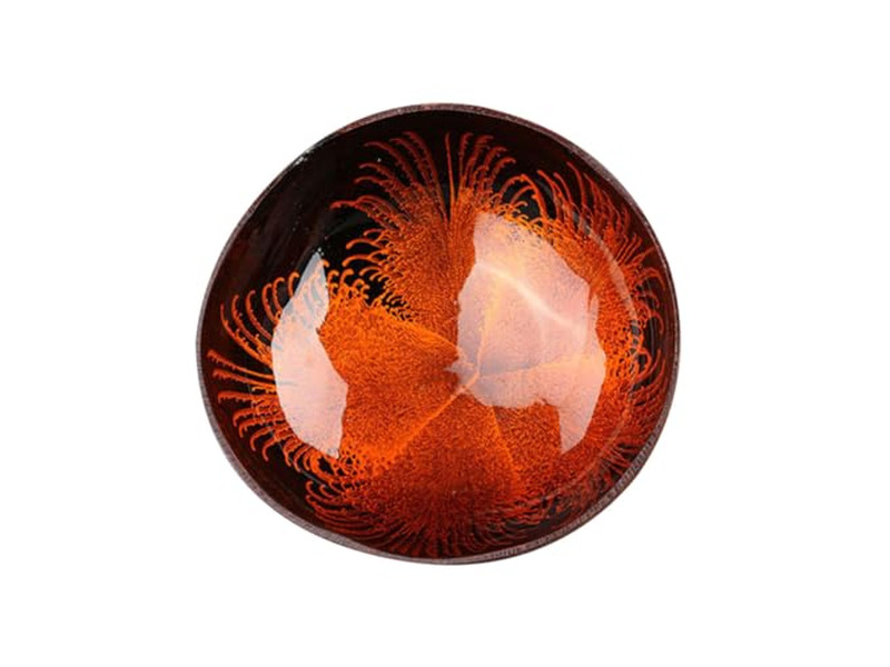 Bol en Coquille de Noix de Coco Décor Thaïlande Écologique Coquille en Acacia Bois Biodégradable