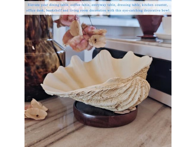 Bol en Noix de Coco pour Plantes Coquille Non Polie Gravure Bols en Bois et Assiettes