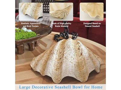 Bol en Noix de Coco pour Plantes Coquille Non Polie Gravure Bols en Bois et Assiettes