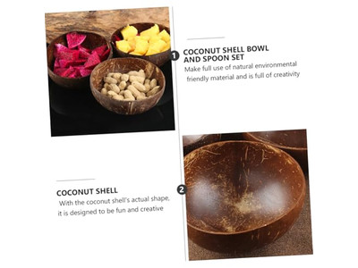 Bol en Noix de Coco avec Design de Palmier Avec Coquilles Ensemble de Bols en Bois Tressé Salade Sculpté à la Main