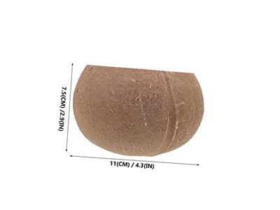 Emballage en Gros de Bols en Noix de Coco pour Boisson Fabriqués à Partir d'un Ensemble de 2 Bols