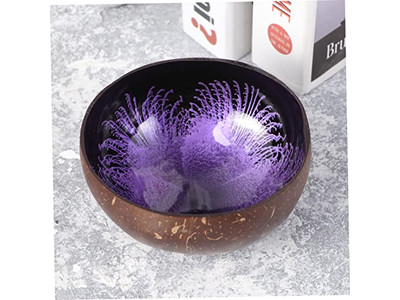 Bol en Coquille de Noix de Coco Avec Motif Salades Bols Personnalisés de Haute Qualité