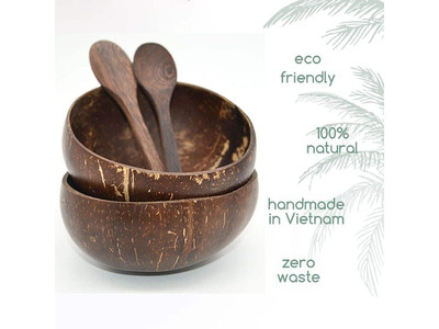 Bols en Coque de Noix de Coco Bol à Glace Dessert Laqué Réutilisable