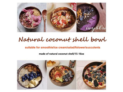 Bols en Coque de Noix de Coco Bol à Glace Dessert Laqué Réutilisable