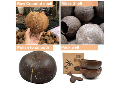 Bols en Coque de Noix de Coco Bol à Glace Dessert Laqué Réutilisable