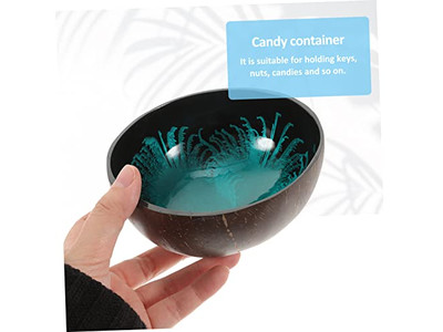 Bols en Noix de Coco pour Açaï Coquille Sala Conteneur de Clé en Béton Mini Ensemble