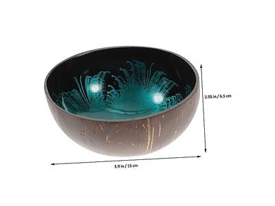 Bols en Noix de Coco pour Açaï Coquille Sala Conteneur de Clé en Béton Mini Ensemble