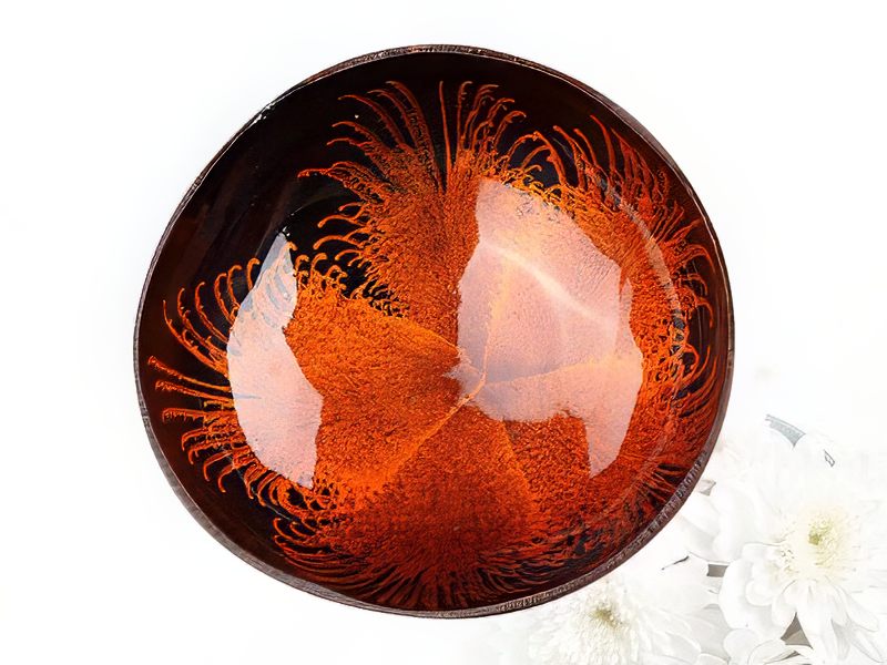 Duo de Repas Assorti en Noix de Coco