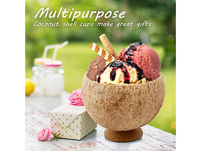 Produit en Coque de Noix de Coco Plats à Snacks Cuillère Vietnam Bol Grande Taille Logo Propre