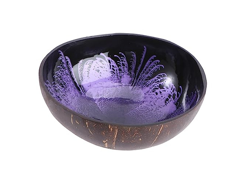 Bol de Stockage de Clés Non Transformé en Coquille de Noix de Coco Ensemble de Bols de Service Grande Taille Brut