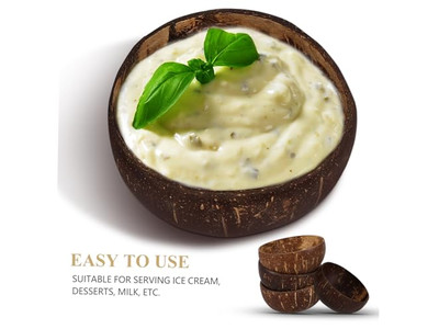 Bol à Dîner en Coque de Noix de Coco Bols Vides Artisanat Manuel Coque Cuillère Petite Simple