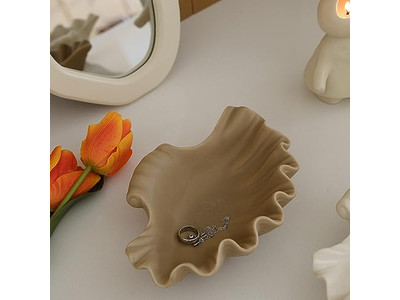 Bol en Noix de Coco Jetable Style Boho Australie Coquille Soupe Bois Pas Cher