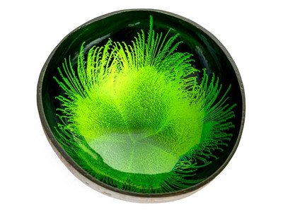 Ensemble de Bols Écologiques Faits Main en Bois de Noix de Coco pour Soupe en Forme de Diamant