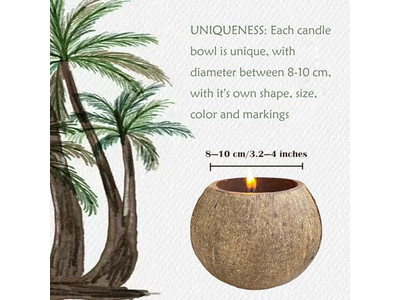 Bol de Teinture Écologique Rond Pâte à Pizza Bols Décoratifs en Noix de Coco