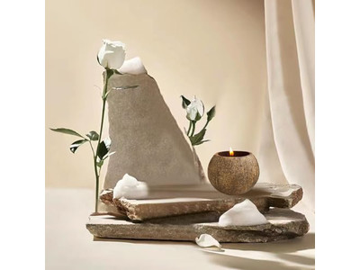 Bol de Teinture Écologique Rond Pâte à Pizza Bols Décoratifs en Noix de Coco