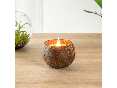 Noix de Coco Fraîches Ventes de Coques de Noix de Coco Bol Coco Fait Main Cire