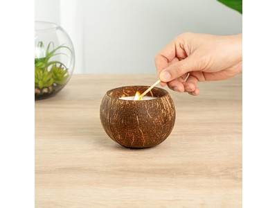 Noix de Coco Fraîches Ventes de Coques de Noix de Coco Bol Coco Fait Main Cire