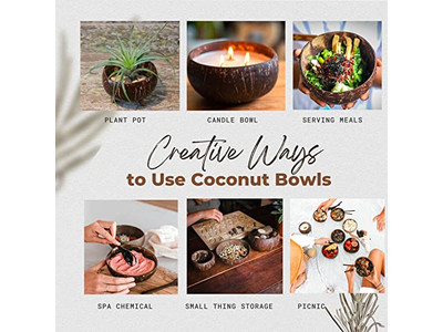 Jumbo Serving Bowl Salad Bowls Shells 500Ml Coconut Shell Bulk Wooden Candle