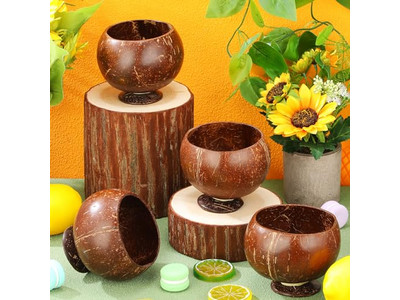 Bol Rôti Acacia Coque Réchauffant Laque Incliné Suspendu Dessert Ensemble de Bols