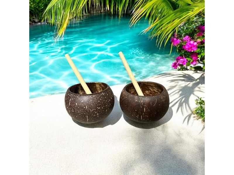 Bols à Salade Ensemble de Restauration de 6 Bols Mélangeurs avec Couvercle Cuisine en Bois