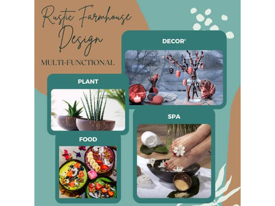 Petit Arc de Noix de Coco Acheter Bols Bol pour Enfants Mini Vendre Noix de Coco Gravées Açaï Mixeur