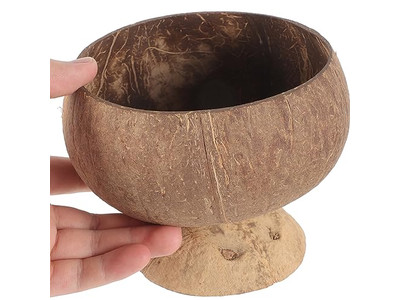 Cuillère Bol en Bois de Noix de Coco Sculpté Mariage Qualité Sécurité Bols Petites Coquilles