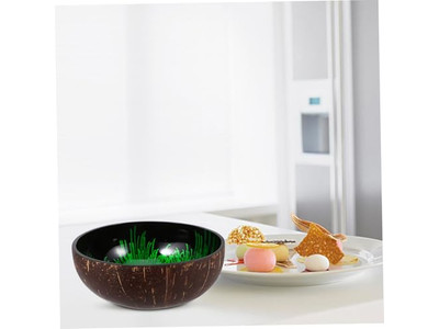 Bol Naturel de Thaïlande Ensemble de Salade en Acacia Bols de Couleur Noix de Coco Sûrs pour les Aliments