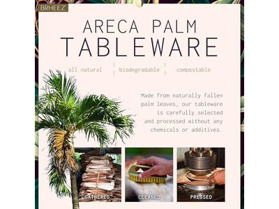 Bol en Noix de Coco Végétalien avec Support en Bois Naturel Pas Cher Bols au Vietnam